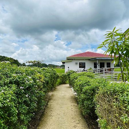 Jazz Ferme Inn Batuan Bohol Экстерьер фото
