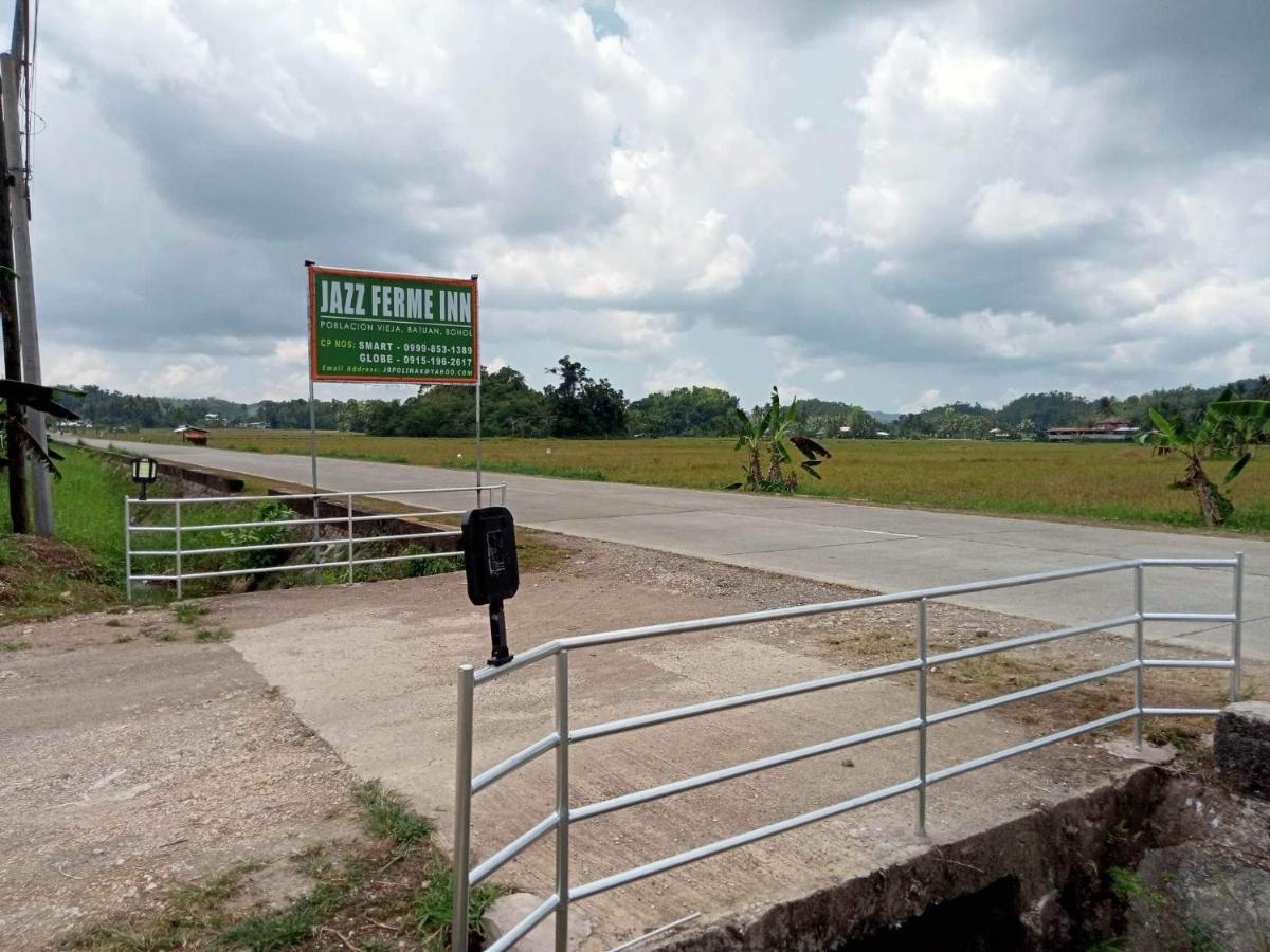 Jazz Ferme Inn Batuan Bohol Экстерьер фото