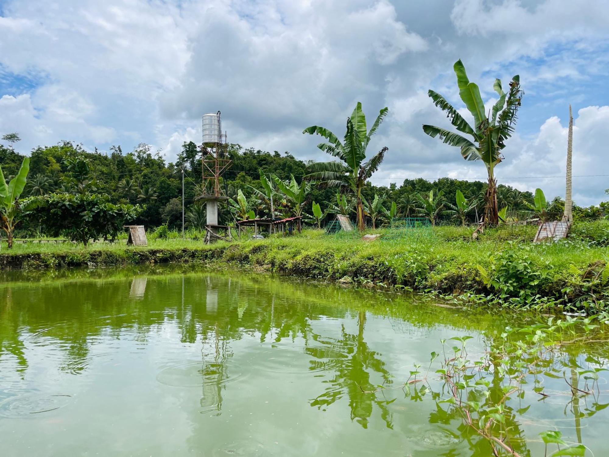 Jazz Ferme Inn Batuan Bohol Экстерьер фото
