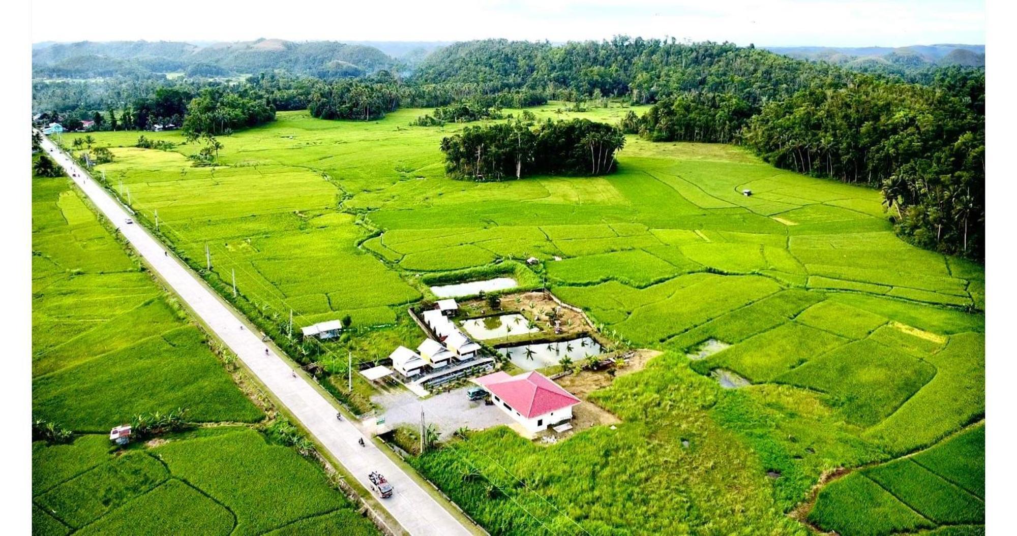 Jazz Ferme Inn Batuan Bohol Экстерьер фото