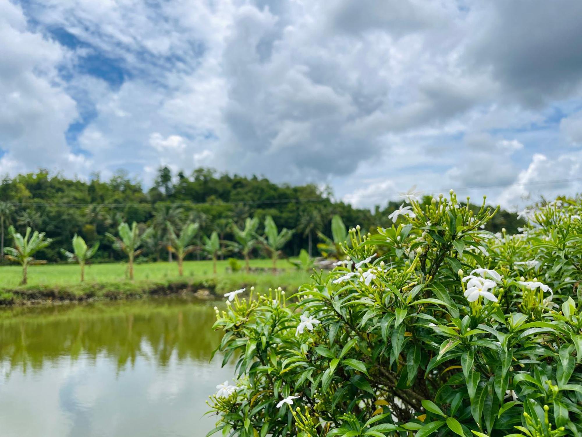 Jazz Ferme Inn Batuan Bohol Экстерьер фото