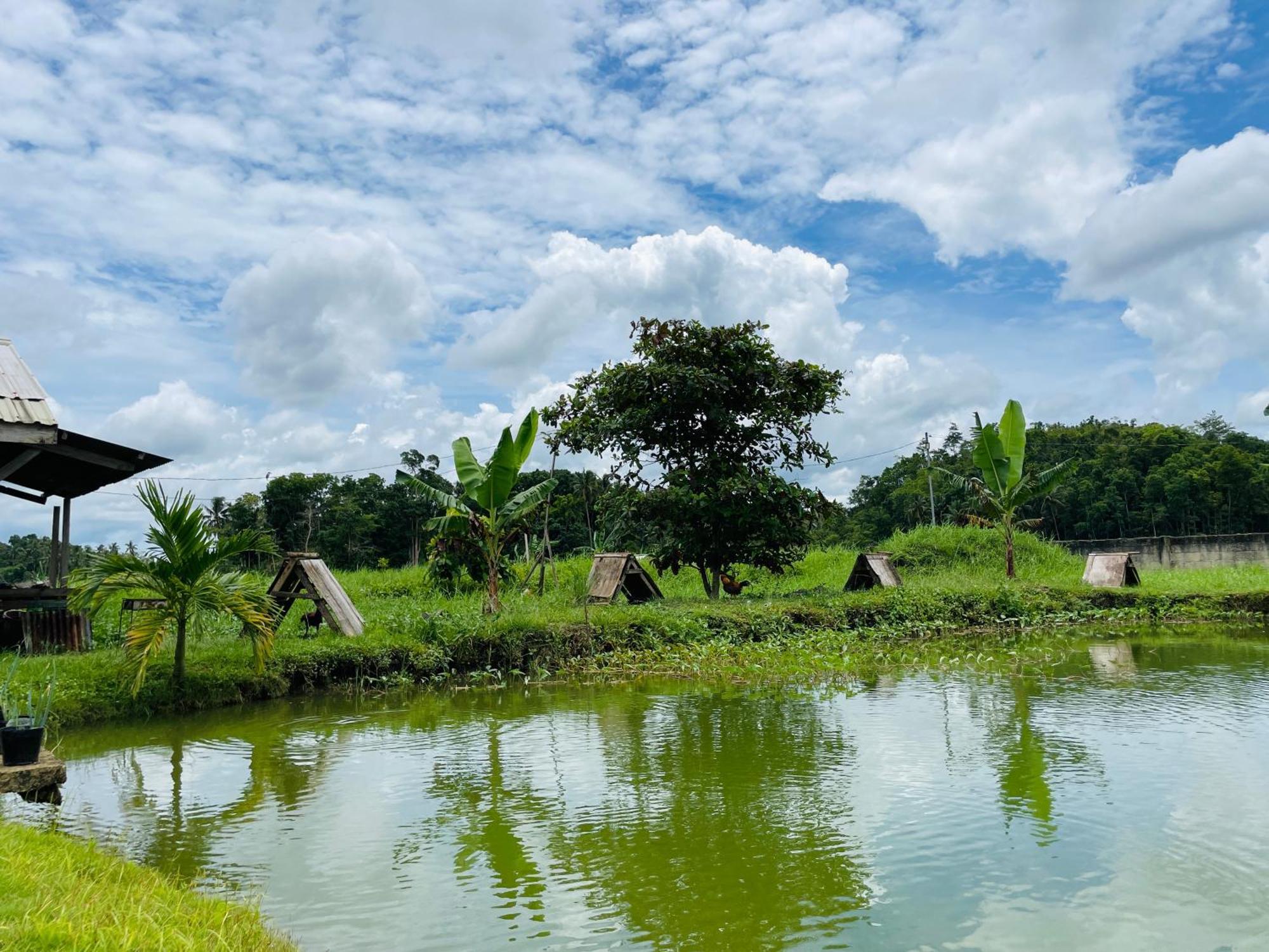 Jazz Ferme Inn Batuan Bohol Экстерьер фото