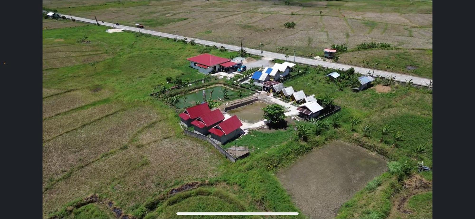 Jazz Ferme Inn Batuan Bohol Экстерьер фото